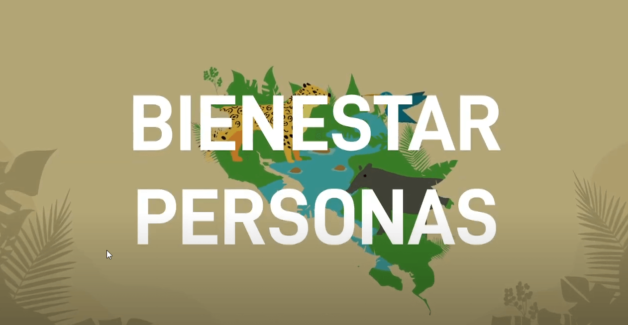 Programa Inédito +M+N (versión extendida y subtitulada al inglés)