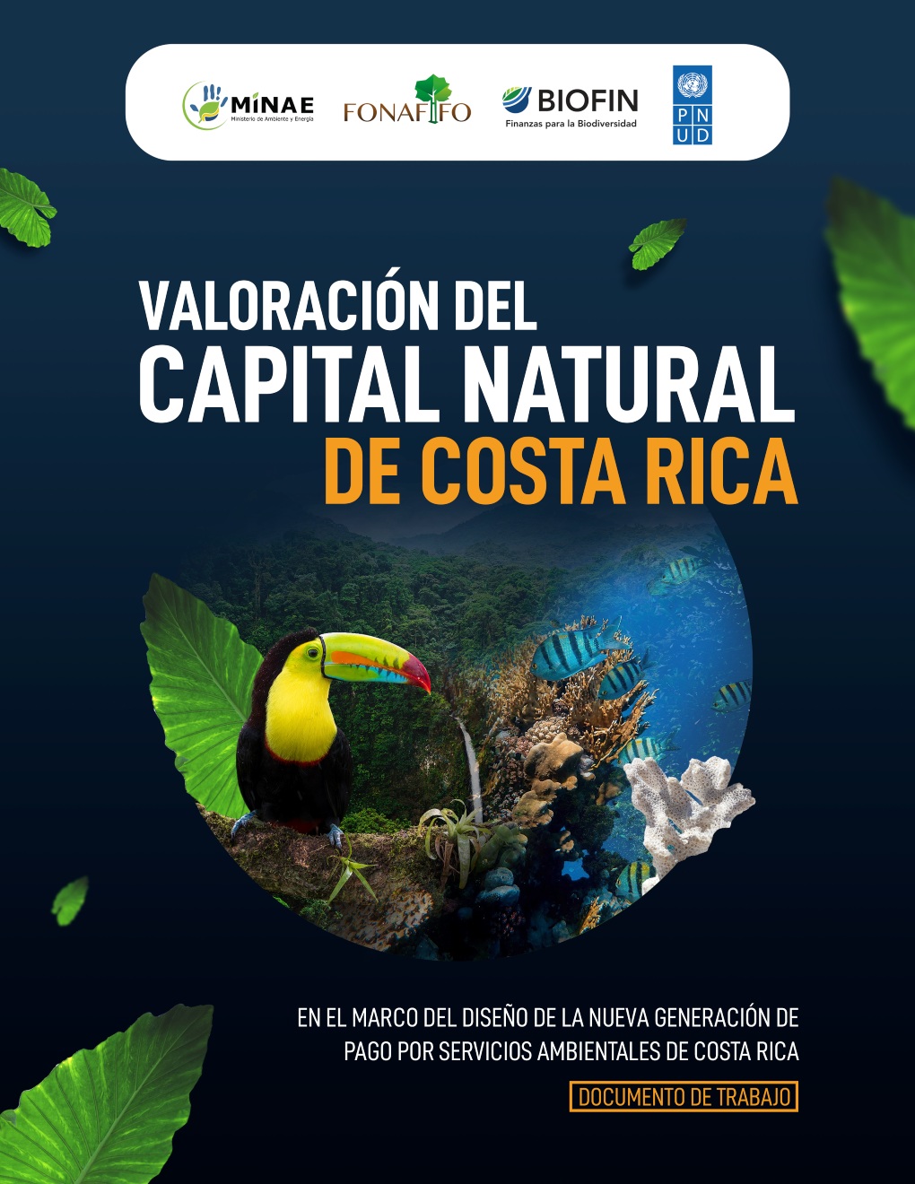 VALORACIÓN DEL CAPITAL NATURAL DE COSTA RICA EN EL MARCO DEL NUEVO PAGO POR SERVICIOS AMBIENTALES DE COSTA RICA