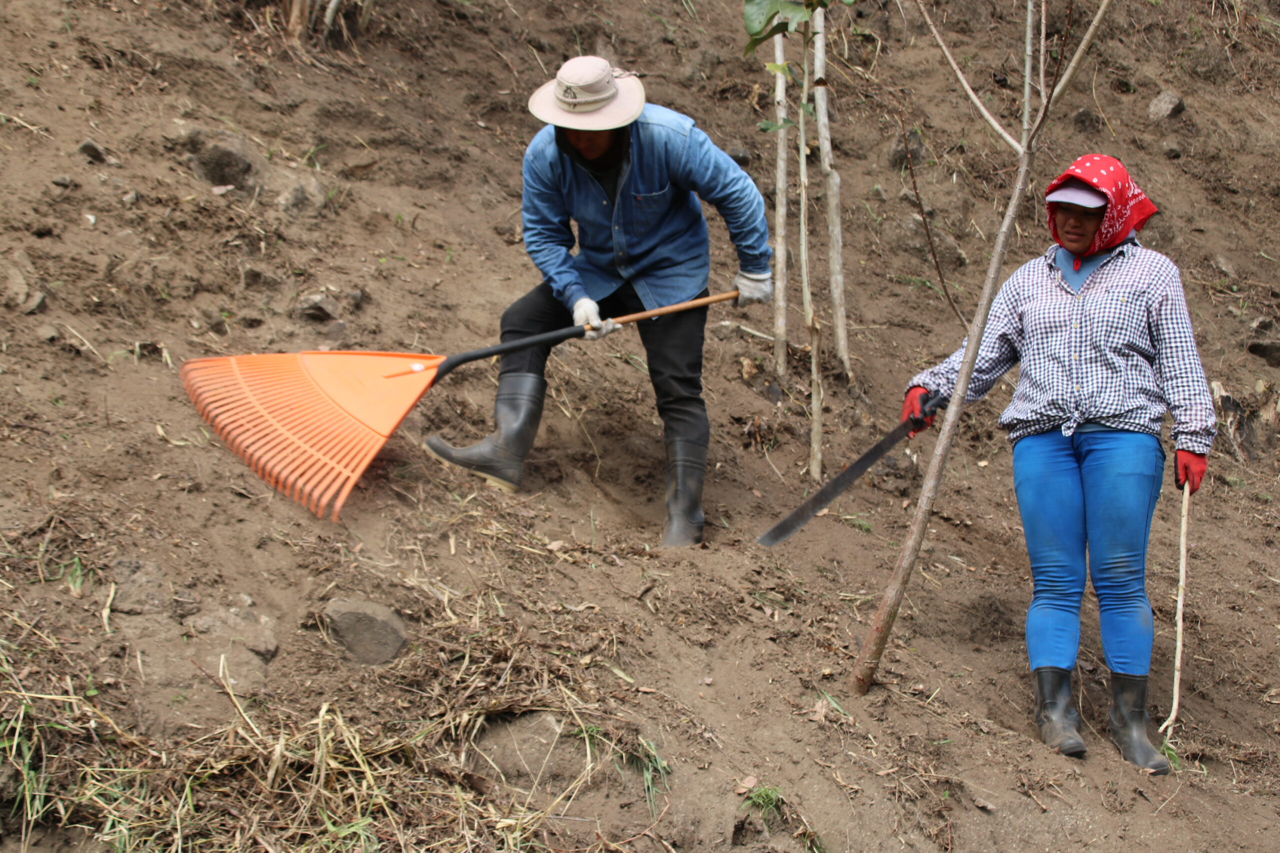 Gira conjunta del MTSS y PNUD visitan Territorios Indígenas impactados por Programas PRONAE y PRONAMYPE.